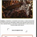 365드림의원 | 편안하게 진료받은 치과 방문 후기치아살리기드림365치과의원