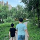 양미정 | 평택아동심리상담 양미정심리상담센터 18년 임상전문가에게 받은 사회성검사