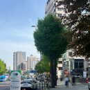 신명 | 은평구 신점 운세 궁합 [천지신명] 점사 후기/영업정보