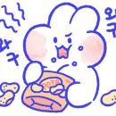 속초실비집 이미지