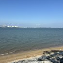 수원-매산-223 | 8월 월기