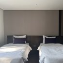 용인 리조트 숙소 한화리조트 베잔송 바베큐 후기