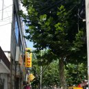 22세기공인중개사사무소 이미지