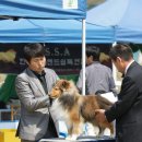 아이즈 오브 엔젤 이미지