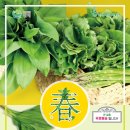 명품꾸러미