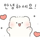 SK한화세탁 이미지