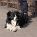 수원팔색길 지게길 이미지