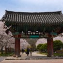 사연(2) 이미지