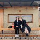 파베뉴(Pavenue) 이미지