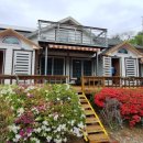 구미정 | 정선펜션 정선펜션추천 하늘나리펜션 구미정계곡펜션 정선단체펜션 후기