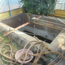 신효동-19 이미지