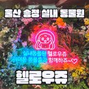 울산 송정 실내 동물원! 헬로우쥬 디테일 후기｜아이들과 데이트 코스로 찰떡