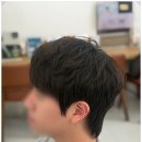 성포로 | 안산미용실 장발 유지하면서 하기 좋은 세미리프컷 후기 :)