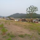 금강환경관리청 | 캠핑 후기(합강정 오토캠핑장)