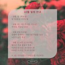 [부평 폴댄스] 피오티디 부평 폴 스튜디오 소규모 레슨이 가능한 폴댄스학원