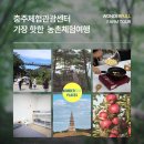 원더풀팜