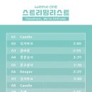 손블리 이미지
