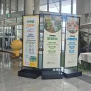 삼환나우빌어린이놀이시설(제2놀이터) | 세종 아이랑 가볼만한곳 ㅣ국립세종수목원 + 땀범벅놀이터 하루코스 (비 오는 날 OK!)