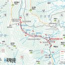 신장로조경 Daum카페