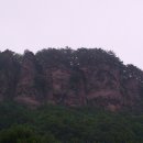 홀본