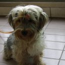 금양아파트 이미지