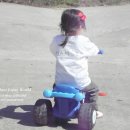 다연농장 이미지