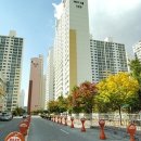 버드내약국 이미지