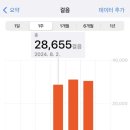 락 페스티벌에 오는 건 정말 젊은 날의 청춘, 자기 자신에게 뜻깊은 선물이 아닐 수 없습니다