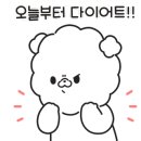 일생의 피티 이미지