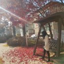 초중 어린이공원 1 이미지