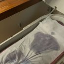 강남다이어트 효과가 좋은 청담동에스테틱 본어겐 만족 후기