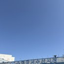 도매시장로 | 강서수산시장 대방어 가격 봉균수산 횟집 포장 맛집 수협강서수산물도매시장 후기