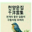 용해사