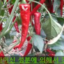 청송사과유통센터 현동 APC | 7월달 과수원외 작물