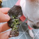 메이동동 이미지