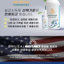 제주도 서귀포 독채펜션 바다 뷰 한달살기숙소/보름살기 숙소 추천!!