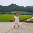 향미식당 이미지