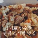 1키로탕수육 - 남양주시 별내중앙로57번길 9 | 회식 간 남편이 시켜준 1키로 탕수육 평택 비전점 후기