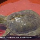 로또PC게임 이미지