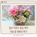 일산 원당 꽃집 추천 오늘꽃 재방문 이유 솔직후기