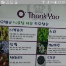 머리염색오땡큐 이미지