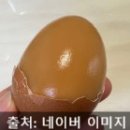 퓨어코치 요거트 메이커 사용 후기 | 자동 냉장 기능 + 온천계란 만들기 도전!