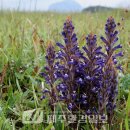 한라전설(주) 이미지