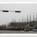 학동누리펜션 이미지