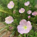 호천마을회관 이미지