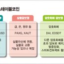 스테이블루 이미지