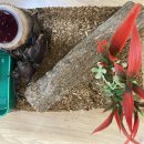 한누리유치원 이미지