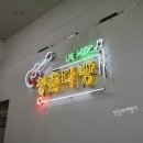 청춘어항 이미지