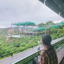 안정농장 | 달랏 이색 카페 추천 5곳｜숲속·호수·커피농장 분위기 좋은 카페 모음