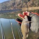 학동제일 이미지